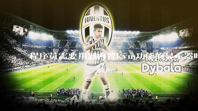 程序员需要用到内置kvm功能的显示器吗？或者是外置的kvm切换器吗？