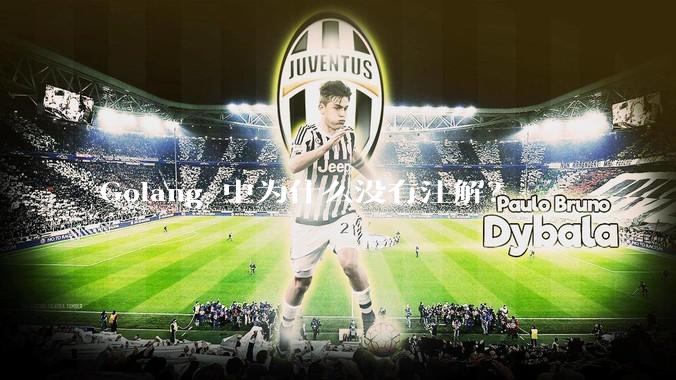 Golang 中为什么没有注解？