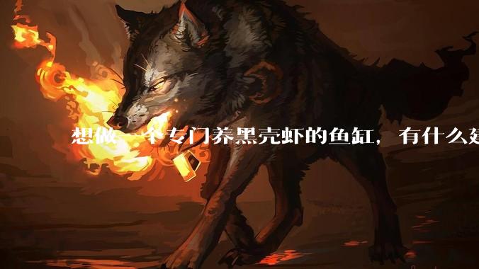 想做一个专门养黑壳虾的鱼缸，有什么建议？