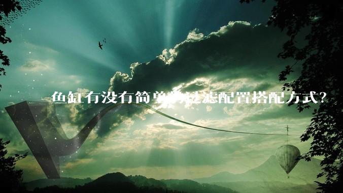 鱼缸有没有简单的过滤配置搭配方式？