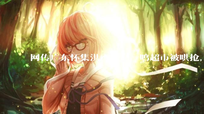 网传广东怀集洪水后赵一鸣超市被哄抢，县***回应相关单位正在核实，若属实哄抢者该承担哪些法律责任？