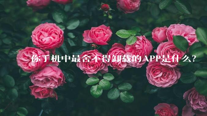 你手机中最舍不得卸载的APP是什么？