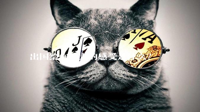 出国给你最大的感受是什么？