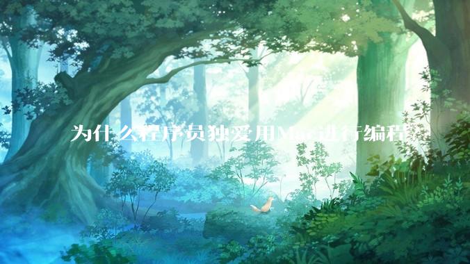 为什么程序员独爱用Mac进行编程？