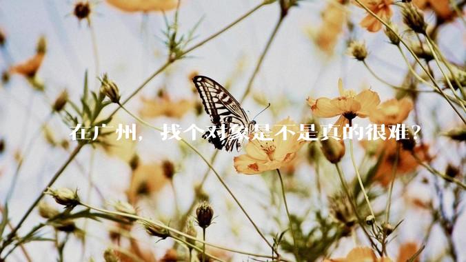 在广州，找个对象是不是真的很难？