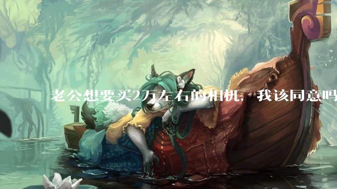 老公想要买2万左右的相机，我该同意吗？