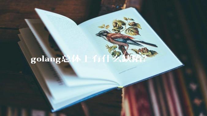 golang总体上有什么缺陷？