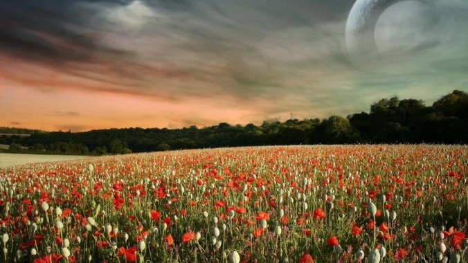 为什么朝鲜始终未解决粮食短缺问题？